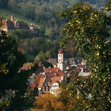 In * Feldkirch