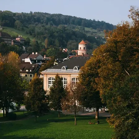 شقة Apartement Feldkirch